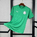 Camisa SE Palmeiras 2025/26 Treino