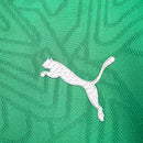 Camisa SE Palmeiras 2025/26 Treino